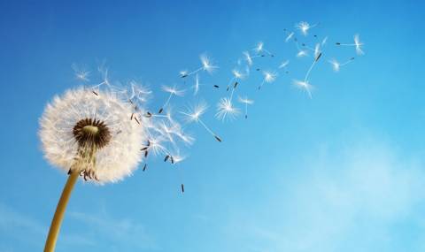 История за любовта, която убива - 1