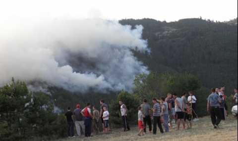 Пожарът в община Белица е локализиран - 1