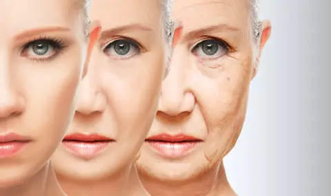 Как да блокираме гените на стареенето - 1