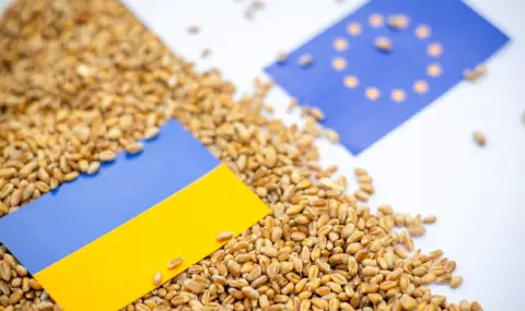 Източните членки на ЕС изразяват желание за въвеждане на мита върху вноса на украинско зърно - 1