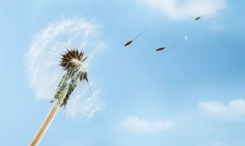 Времето днес, прогноза за неделя, 24 август: Остава слънчево, с временни увеличения на облачността - 1