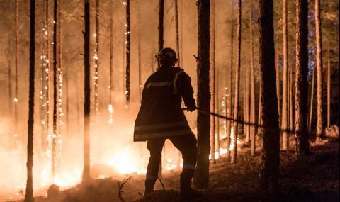 Нараства броят на горските пожари - 1