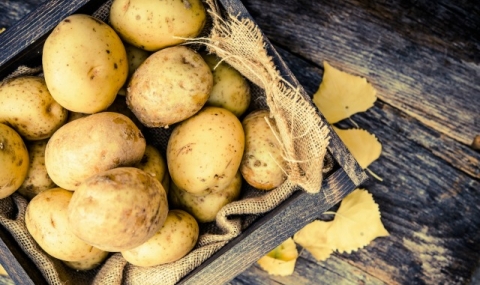Учени съветват: Не прекалявайте с картофите! - 1