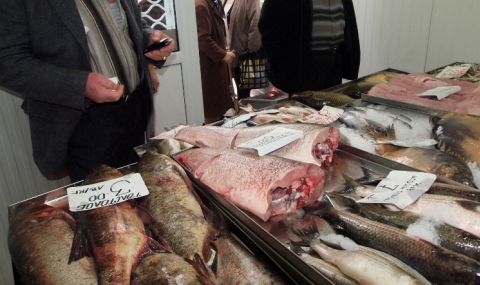 Откриват рибен пазар в центъра на София за Никулден - 1