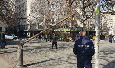 В София: Силният вятър събори стълб на осветлението в центъра, щети по сградите на МС и на БАН  - 1