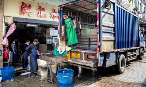 Китайски град забрани яденето на диви животни - 1