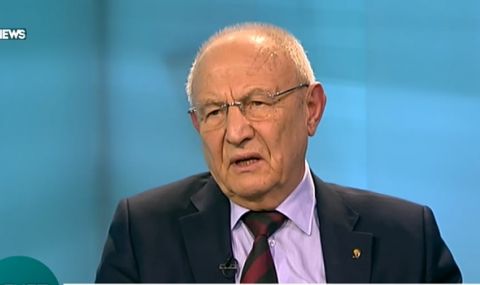 Проф. Топалов: Жална ѝ майка на България, ако в ЕС влезе такава РСМ - 1