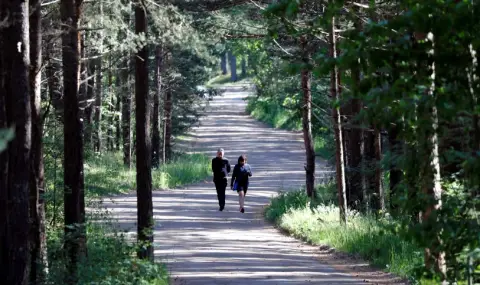 IKEA acquires largest retail space in its history  - 1