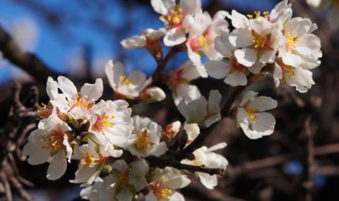 Слънчева и топла събота - 1