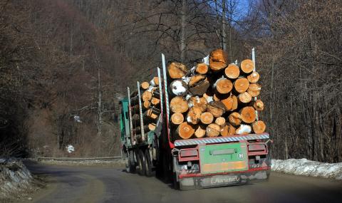 Масирани проверки за незаконен дърводобив и по празниците - 1