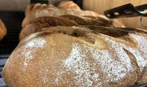 Хлябът може да поскъпне заради скока в цените на горивата - 1