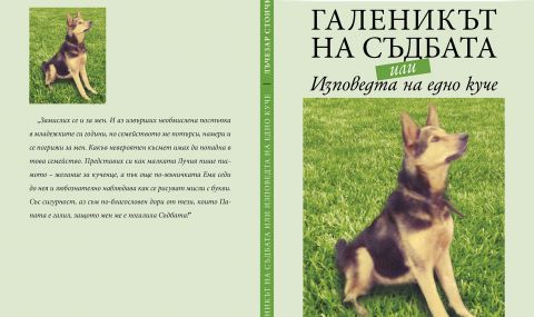 "Галеникът на съдбата или Изповедта на едно куче" - книга за вечните теми на живота - 1