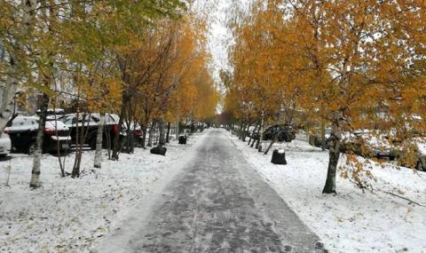 Winter is coming! Първи сняг в Москва - 1