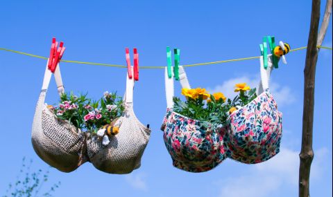 Ерата на сутиените приключи - 1