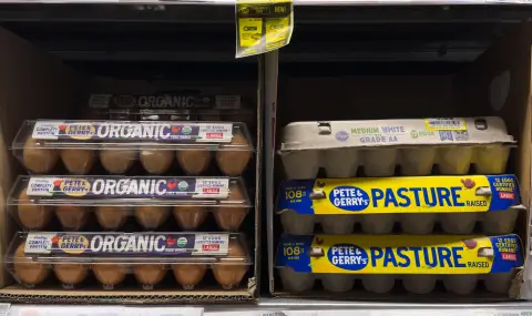 Egg prices in the US have reached unprecedented levels  - 1