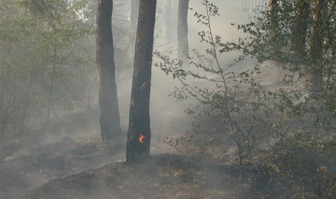 Голям пожар бушува над Костинброд - 1