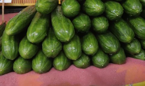 Няма таван за цената на оранжерийните краставици  - 1