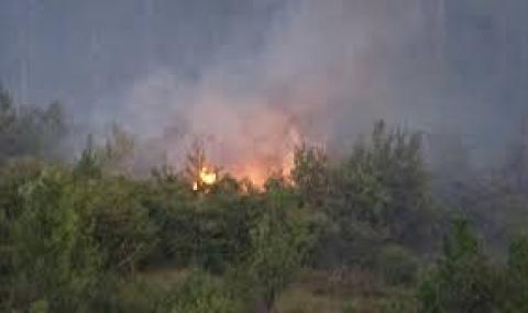Укротиха пожара край Свиленград - 1