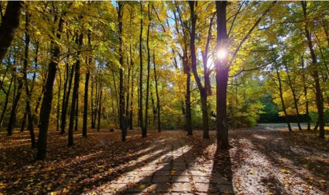 Времето днес, прогноза за събота, 28 октомври: Облачността намалява, слаб вятър от северозапад - 1