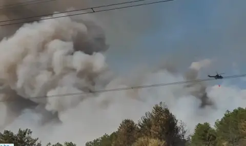 Огнената стихия: Продължава битката с пламъците на много места в страната (ОБЗОР) - 1