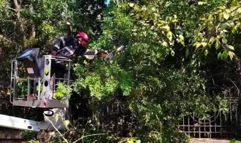 Васил Терзиев: За по-малко от час и половина отстранихме спешните последствия от бурята - 1