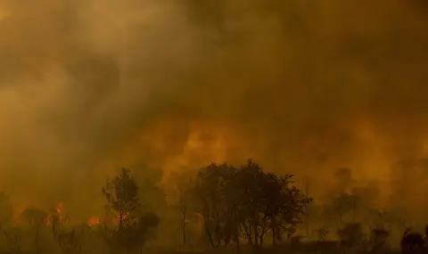 Косово се бори със стотици пожари - 1