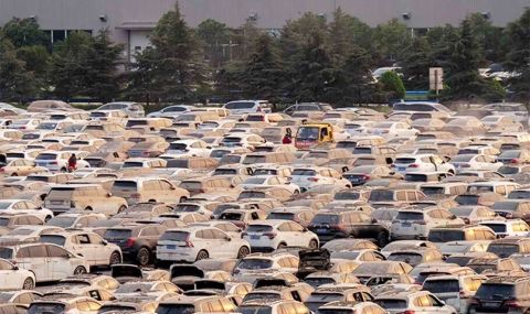 Тези десетки хиляди "удавени" автомобили ще бъдат продадени на търг - 1