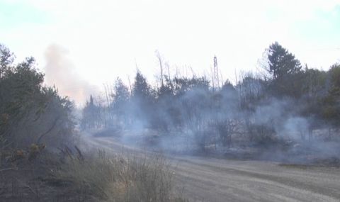 Човешка небрежност причинила големия пожар край Бургас - 1
