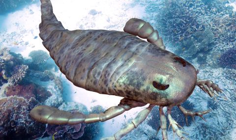 Откриха неизследван досега морски скорпион на 450 млн. години (СНИМКА) - 1