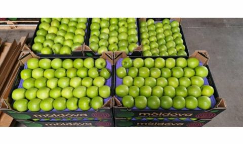 Молдова за първи път ще изнася ябълки за Швеция  - 1
