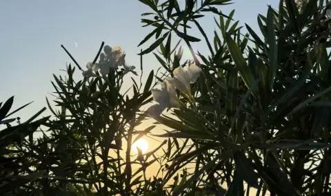 Времето днес, прогноза за понеделник, 22 септември: Все така слънчево, слаб до умерен вятър от изток - 1