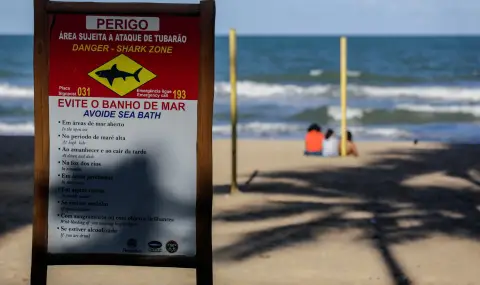 Thirteen-year-old boy dies after shark bite  - 1