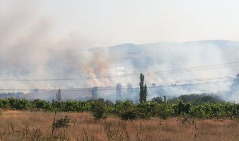 Пожарът край село Бучино е овладян - 1
