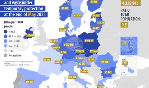 Евростат: 4,8 млн. украинци са със статут на временна закрила в страните от ЕС, броят им е намалял най-много в България - 1