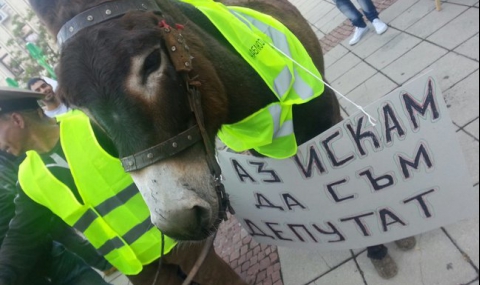 Протести в страната заради разпределението на мандатите - 1