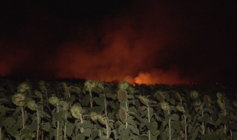Потушиха голям пожар в Ямболско - 1