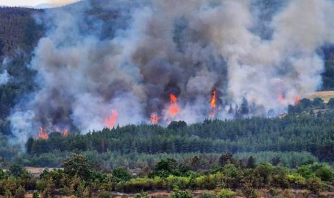 Частично бедствено положение в общините Любимец и Харманли заради голям пожар - 1