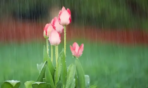 Weather today, forecast for Friday, April 3: Remains cloudy, in many places it will rain  - 1