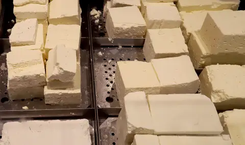 КНСБ: Във фирмения магазин сиренето е 14 лева, а в голямата верига е 24 лева - 1