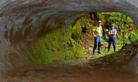 Гигантски ленивец е копал тунели преди хиляди години - 1