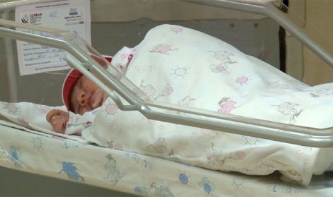Вече има новородени в региона на Североизточна България - 1