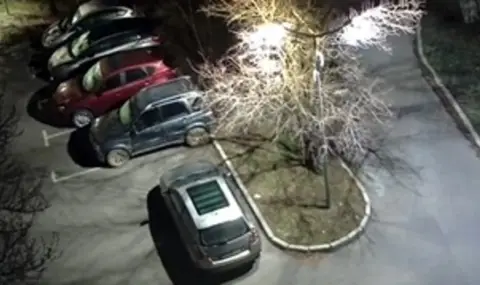 Откраднаха украсена елха в Радомир - 1