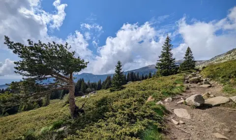 Salomon Vitosha Trail 2024 ще се проведе на 8 юни