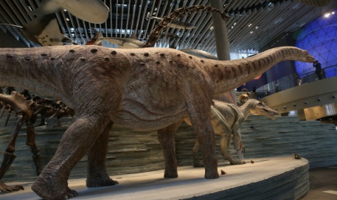 Разбраха защо динозаврите от епохата Триас са избягвали тропиците - 1