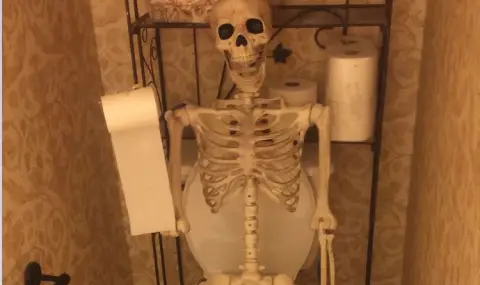 Японец държал 10 години скелета на майка си в тоалетната - 1