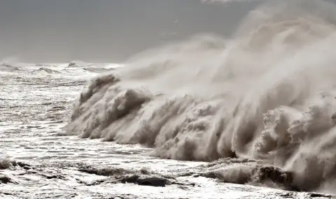 Half-meter tsunami hits island south of Tokyo after earthquake  - 1