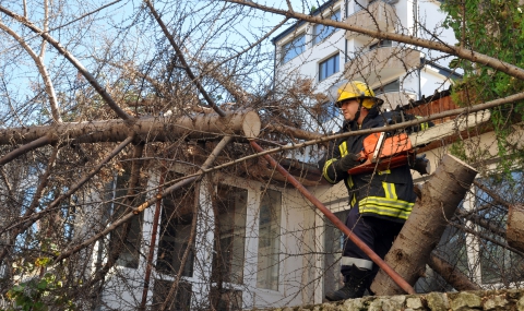 Буря събори дървета в Хасково и Свиленград - 1