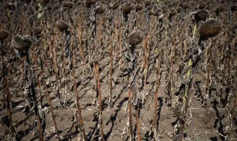 Български учен в Швейцария: Може да се стигне до най-жестокото измиране в историята на Земята - 1
