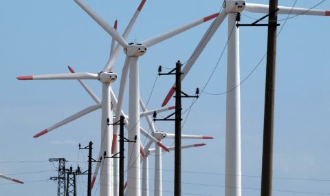 Държавата предлага да се изградят ветрогенераторни паркове в Черно море, еколози са против - 1