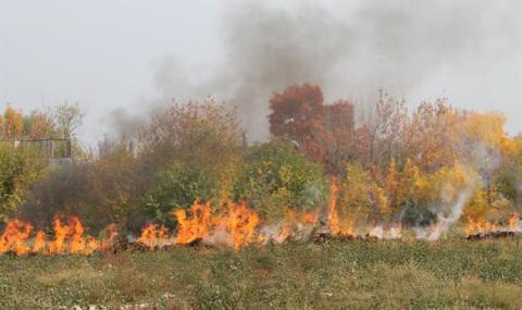 Огнена вендета заради спорен имот в Петричко - 1
